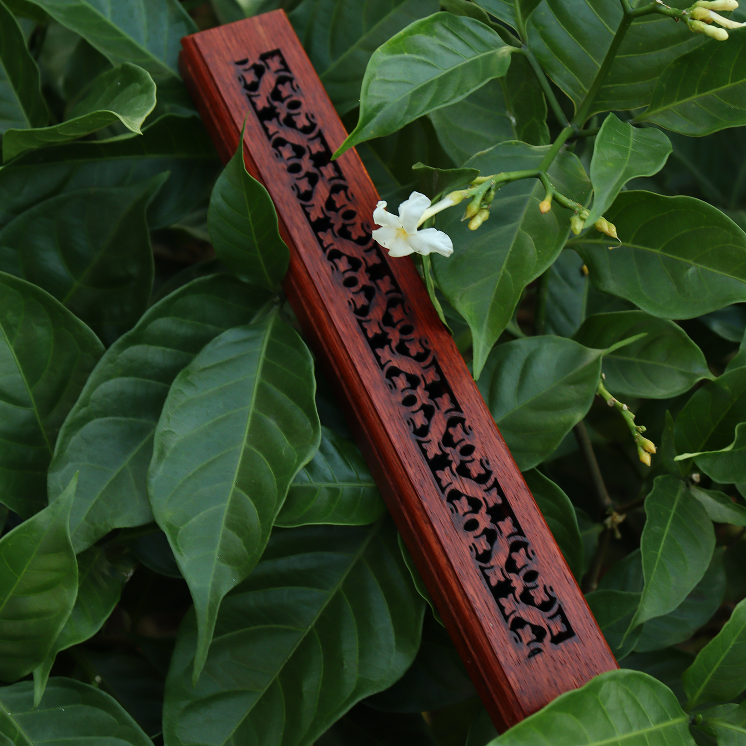 Hộp đựng nhang không tăm