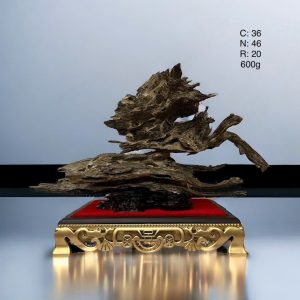Trầm Cảnh 5