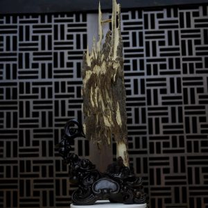 Trầm Cảnh 6