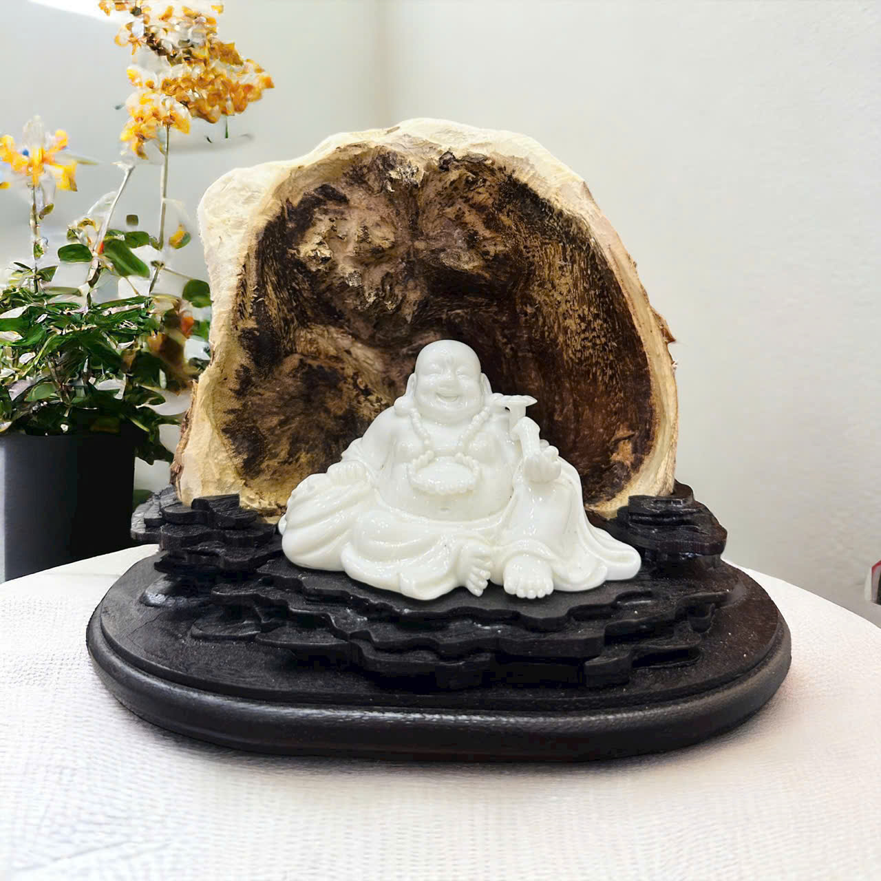 Trầm Cảnh 8